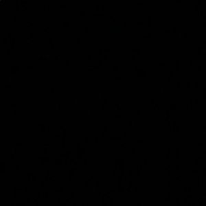 Meet your Posher, Timothy